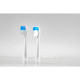 PRIBOR IN DODATKI CAMRY CR2158.1 NASTAVKI ZA ZOBNO ŠČETKO