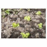 DODATEK ZA ZEMLJO WINDHAGER KOSMI IZ VOLNE, SIVI, ZA VLAŽENJE ZEMLJE, 200G