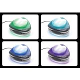 DODATNA OPREMA ZA BAZEN INTEX STENSKA SVETILKA LED MAGNETNA