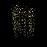 DREVO VRBA Z LISTI 250 CM