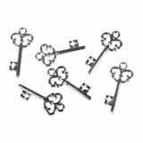 DROBNI ART.ZA USTVARJANJE RAYHER KLJUČI, 2.3CM, 24 KOS