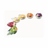 DROBNI ART.ZA USTVARJANJE RAYHER PTIČKI MALI 6 KOSOV