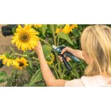 AKUMULATORSKE VRTNE ŠKARJE EASYPRUNE