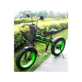 ELEKTRIČNI SKIRO MANTA MES2002N ČRNO ZELEN FLINSTONE FAT 350W