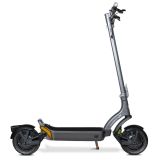 ELEKTRIČNI SKIRO MS ENERGY URBAN X