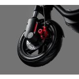 ELEKTRIČNI SKIRO SEGWAY F2 E II