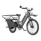 ELEKTRIČNO KOLO A DECE OASIS OASIS 261T TOVORNO E-KOLO Z DVEMA BATERIJAMA, SIV