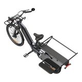 ELEKTRIČNO KOLO A DECE OASIS OASIS 261T TOVORNO E-KOLO Z DVEMA BATERIJAMA, SIV