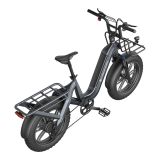 ELEKTRIČNO KOLO A DECE OASIS OASIS ONE, TOVORNO E-KOLO FATBIKE, SIV