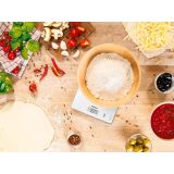 ELEKTRONSKA TEHTNICA SOEHNLE PAGE COMPACT 300