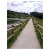 ELEMENT VRTNIH OGRAJ STEBRIČEK FI 8X250 CM SMREKA