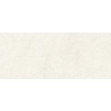 STENSKA PLOŠČICA ESTELA-65 BEIGE 25X60 ZAV=1.35 M2 PLA=86.4 M2