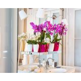 PE NOTRANJI LONEC FIJI ORHIDEJA BEL 15CM