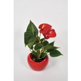 FLAMINGOVEC DIJAMANT L7