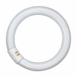 FLUO OKROGLA SIJALKA OSRAM L 32W/840 C G10Q FI 29MM