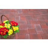 BETONSKI TLAKOVEC ZOBEC FORMA MIX RDEČA - RJAVA