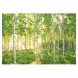 FOTOTAPETA 8-DELNA  SUNDAY 368X254 CM KOMAR