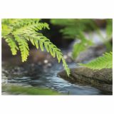 FOTOTAPETA 1-DELNA ALONG THE RIVER184X127 KOMAR