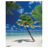 FOTOTAPETA 4-DELNA  ARIATOLL 184X254 CM KOMAR