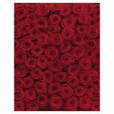 FOTOTAPETA 4-DELNA  ROSES 194X270 CM KOMAR