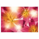 FOTOTAPETA 8-DELNA 368 X 254 CM KOMAR