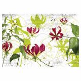 FOTOTAPETA 8-DELNA  GLORIOSA 368X254 CM KOMAR