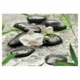 FOTOTAPETA 8-DELNA PURE 368 X 254 CM KOMAR