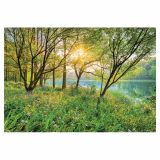 FOTOTAPETA 8-DELNA  SPRING LAKE 368X254 CM KOMAR