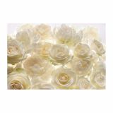 FOTOTAPETA-SHALIMAR 368 X 248 CM KOMAR