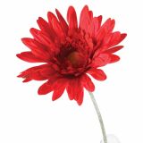 UMETNO CVETJE GERBERA ENOJNA