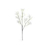 GIPSOFILA VEJICA 54CM