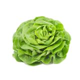 LISTNA ZELENJAVA L'ORTO FRUTTIFERO GLAVNATA SOLATA 8/1 ELIANA KULTIPAK