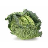 KAPUSNICE L'ORTO FRUTTIFERO GLAVNATI OHROVT 4/1 WIROSA F1 KULTIPAK