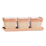 GLINENO ZUNANJE KORITO DEGREA SET ZELIŠČA