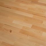 GOTOVI PARKET ARTISAN BUKEV MUNCHEN NATURAL PROF LAK TGP 3L 5GC