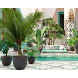 PE ZUNANJI LONEC HAVANA NATURAL VOLCANO 70CM