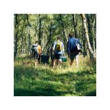 HLADILNA SKRINJA THE EASY CARRY OUTDOOR COOLER 6.6L, HAMMERTONE GREEN