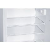 HLADILNIK IN ZAMRZOVALNIK TESLA RD2101EH