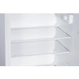 HLADILNIK IN ZAMRZOVALNIK TESLA RD2101H1