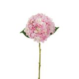 HORTENZIJA 50CM ROZA