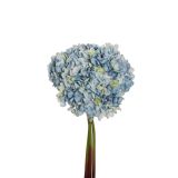 UMETNO CVETJE EVERGREENS HORTENZIJA POP CORN SVETLO MODRA