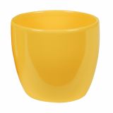 HORTER 909, MARELIČEN