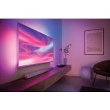 HIŠNI KINO PHILIPS HTL3325/10