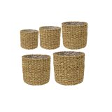 PLETENI NOTRANJI LONEC TS IDO NATURAL 26 CM H23