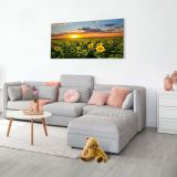 IR GRELNI PANEL 600 W FOTOMOTIV - SONČNICA