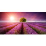 IR GRELNI PANEL 600 W, FOTOMOTIV - LAVANDA, 1005 X 605 X 20 MM
