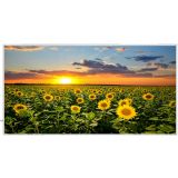 IR GRELNI PANEL 600 W FOTOMOTIV - SONČNICA