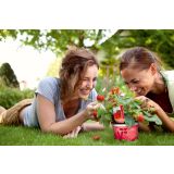 JAGODA VOLMARY 10.5 CM ELAN F1