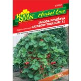SEME VRTNINE ROYAL SEEDS JAGODA RAINBOW HL 29