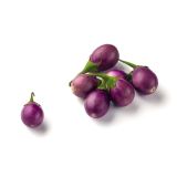 PLODOVKE L'ORTO FRUTTIFERO JAJČEVEC GENOVESE 4/1 KULTIPAK